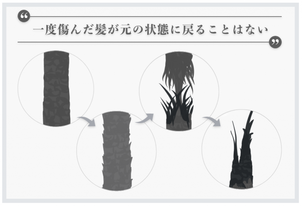 くせ毛にトリートメントは不要 本当に効果的な方法とは カミセツ Kamisetsu Com