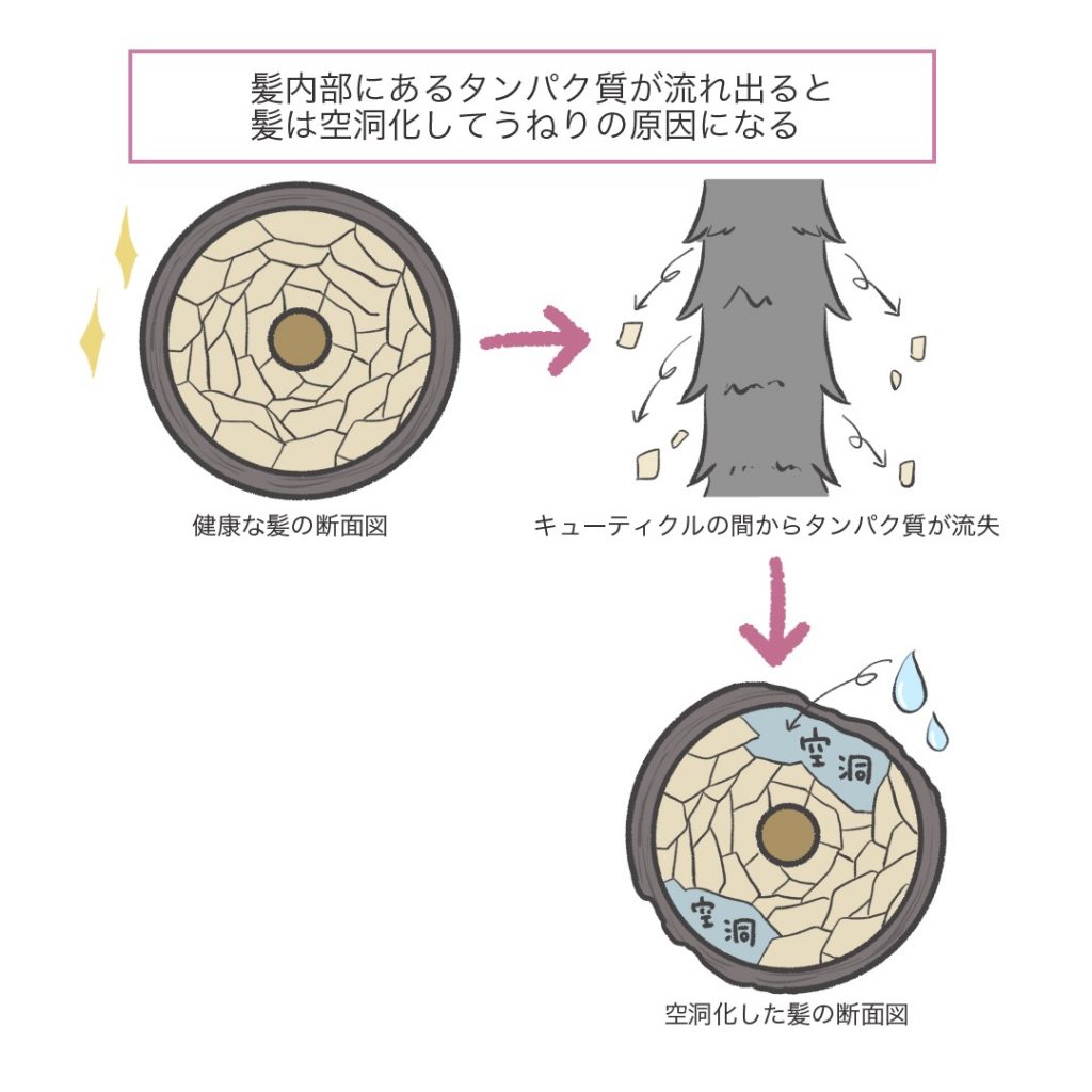 髪の毛に日焼け止めって必要 紫外線の影響について カミセツ Kamisetsu Com