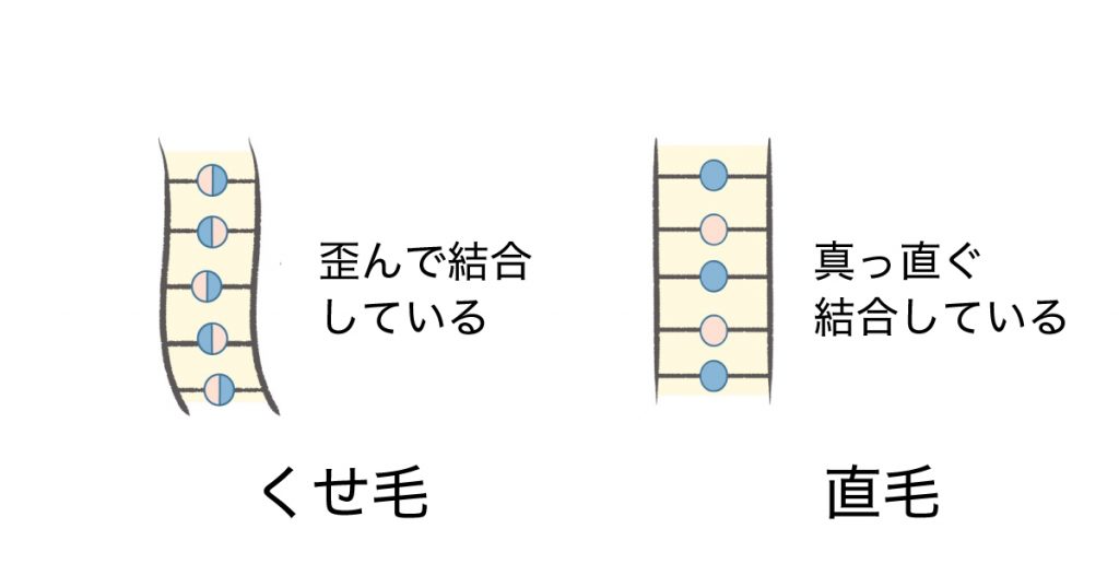 陰毛みたいなくせ毛が生える理由と対策について カミセツ Kamisetsu Com