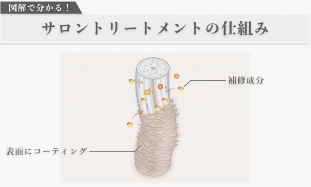 サロントリートメントの仕組み